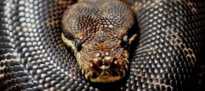 Exercices en Python Exercices en Python